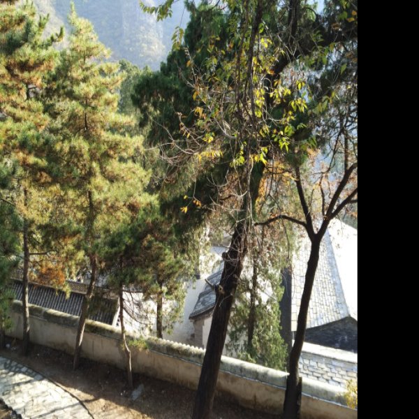 玉虚宫下院 - 图片3