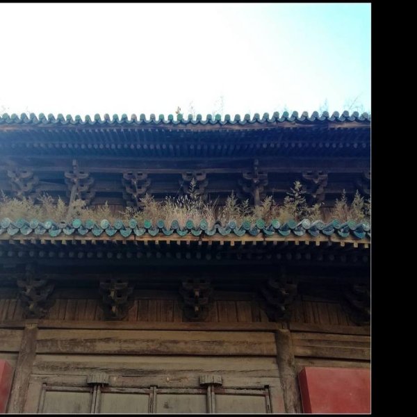 崇善寺大悲殿 - 图片7