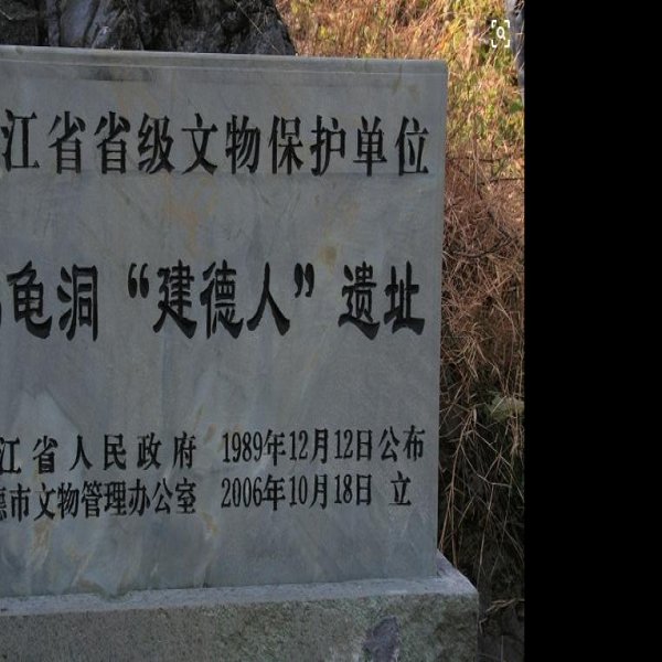 乌龟洞遗址 - 图片1