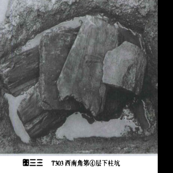 田螺山遗址 - 图片4