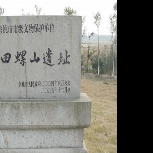 田螺山遗址 - 图片8