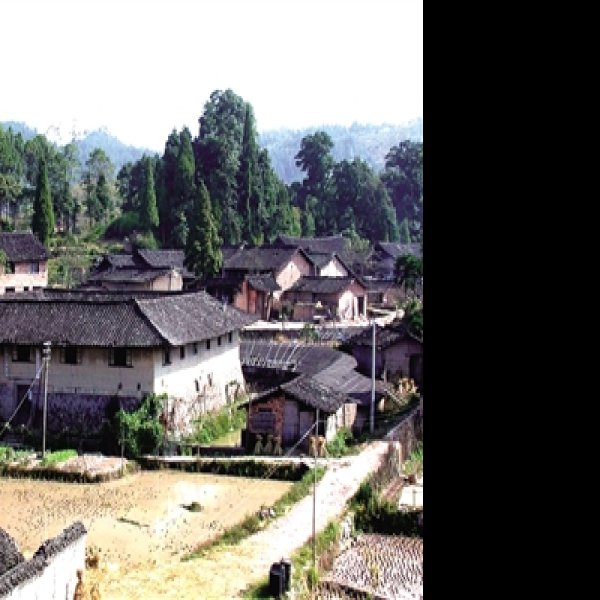 曹湾山遗址 - 图片4