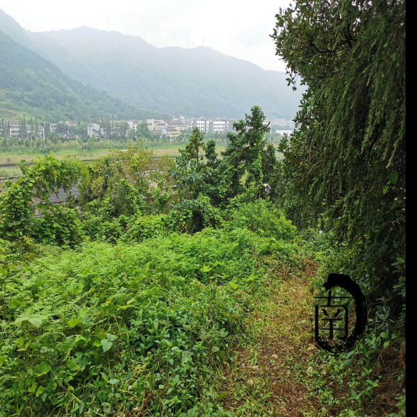 曹湾山遗址 - 图片5