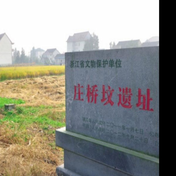 庄桥坟遗址 - 图片3
