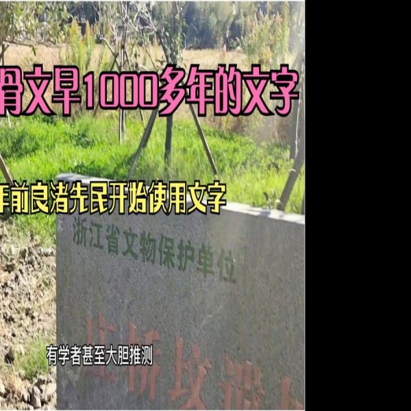 庄桥坟遗址 - 图片8