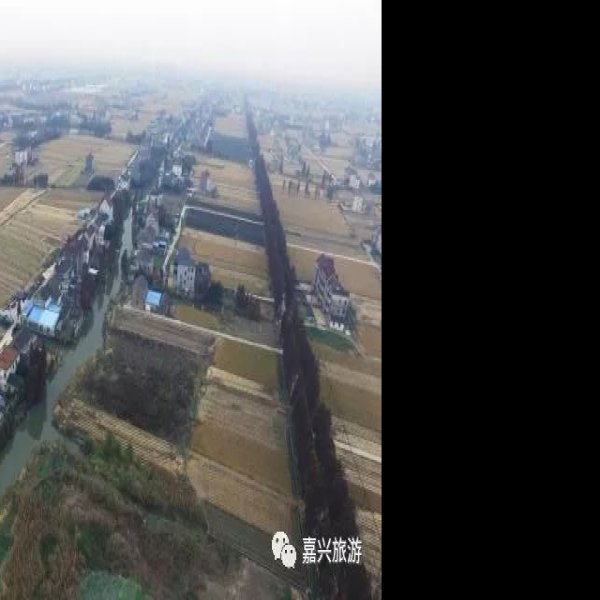 庄桥坟遗址 - 图片9