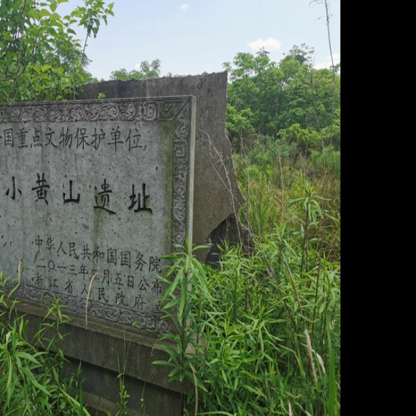 小黄山遗址 - 图片1