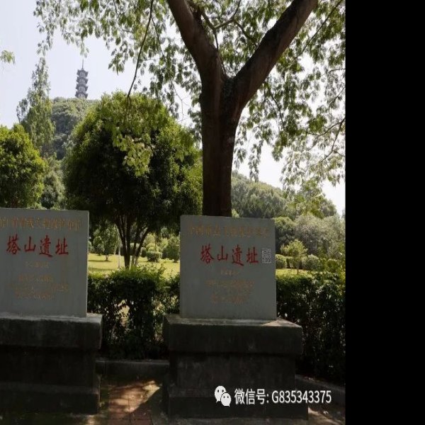 塔山遗址 - 图片4