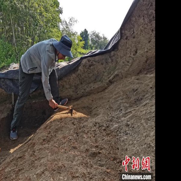 毘山遗址 - 图片9