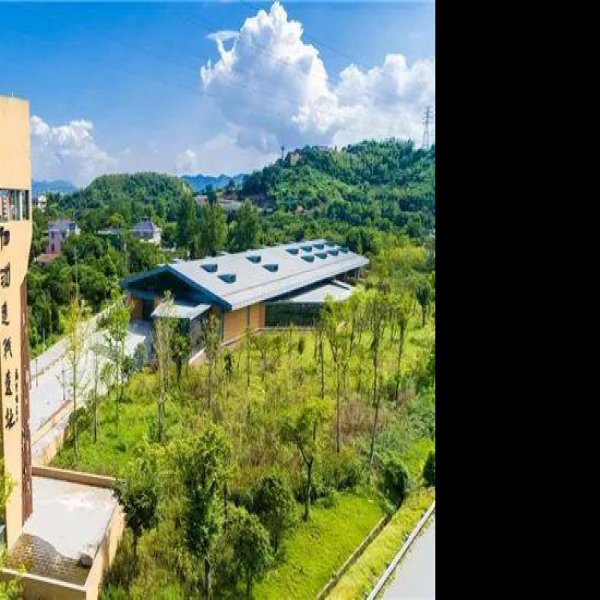 泗洲造纸作坊遗址 - 图片10