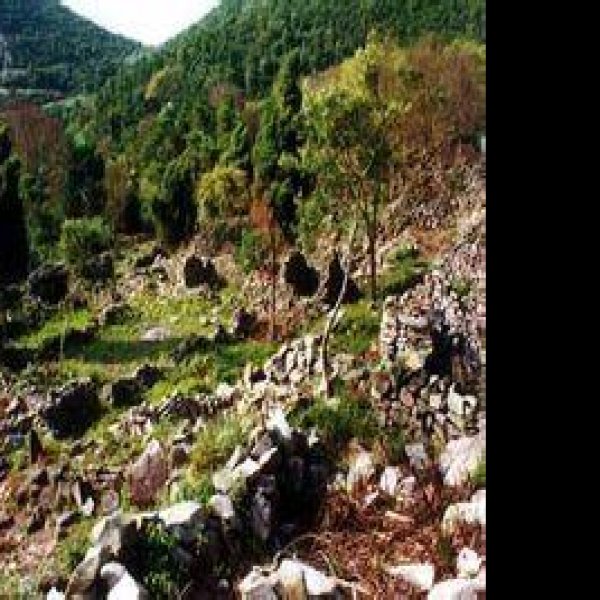 花岙兵营遗址 - 图片2
