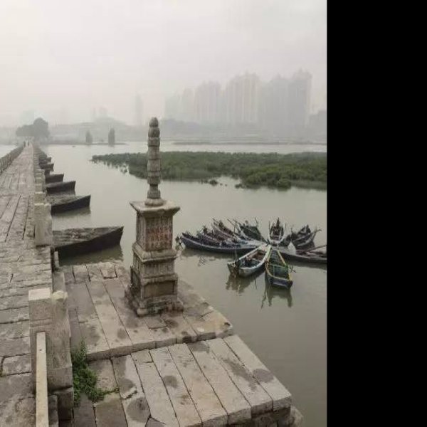 福建泉州洛阳桥 - 图片4
