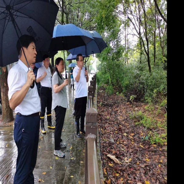 绍兴越国贵族墓群 - 图片3