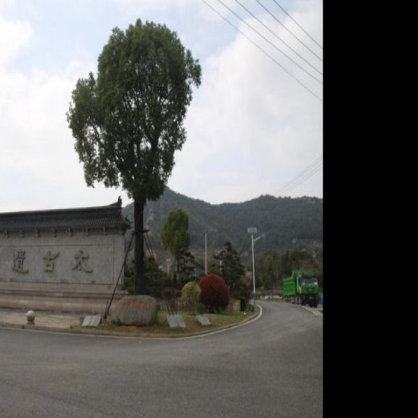 绍兴越国贵族墓群 - 图片6