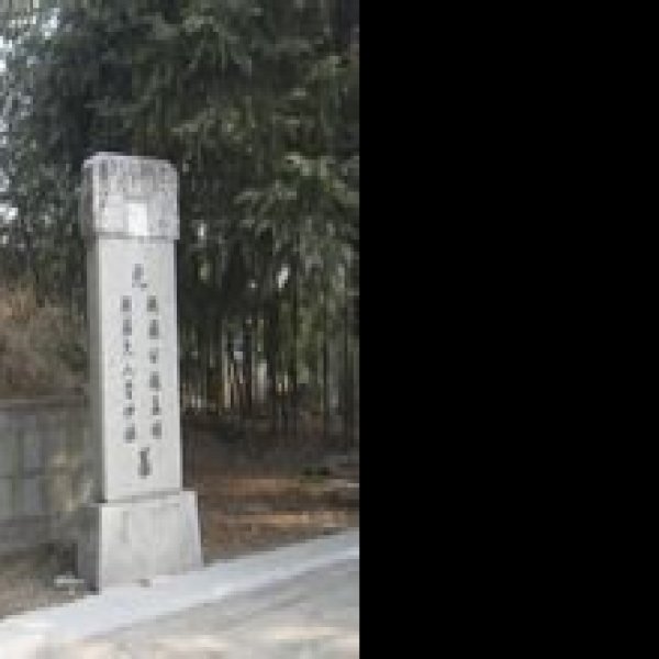 赵孟頫墓 - 图片4