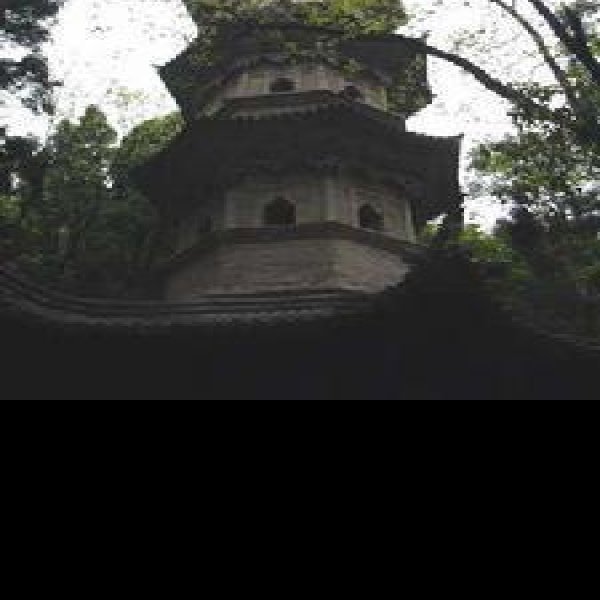 瑞隆感应塔 - 图片1