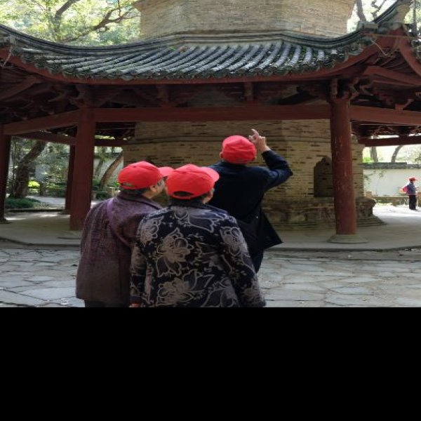 瑞隆感应塔 - 图片10
