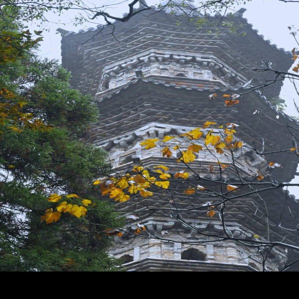 瑞隆感应塔 - 图片3
