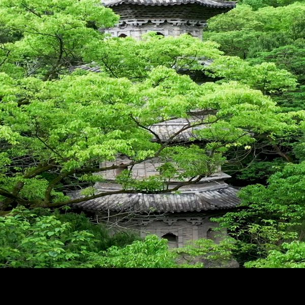 瑞隆感应塔 - 图片4