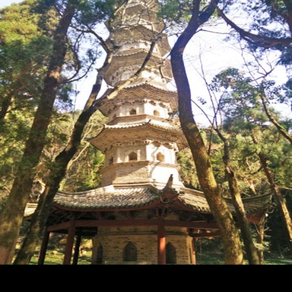 瑞隆感应塔 - 图片5