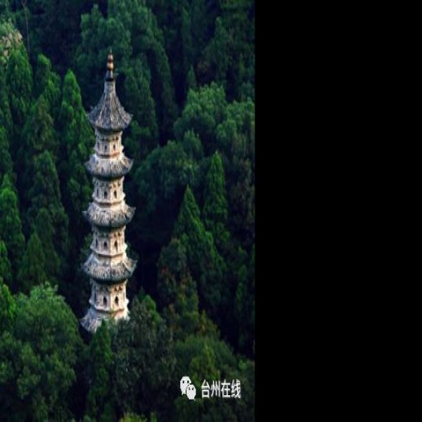 瑞隆感应塔 - 图片7