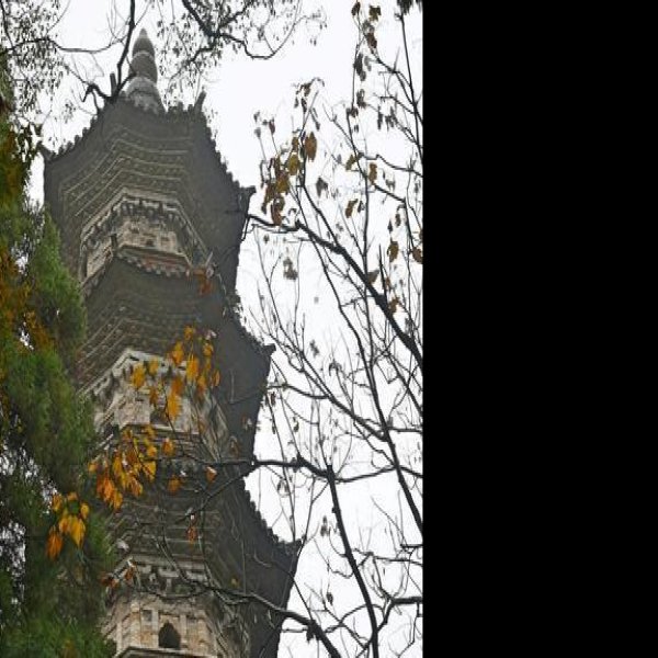 瑞隆感应塔 - 图片9
