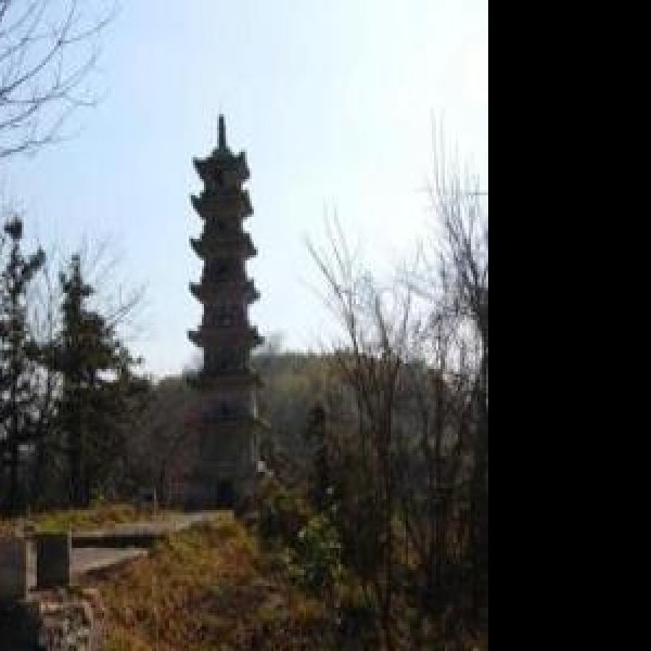 二灵塔 - 图片1