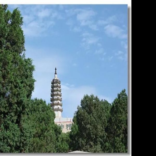 二灵塔 - 图片9