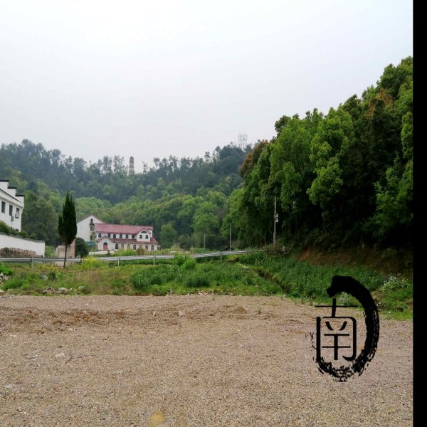 东化成寺塔 - 图片6