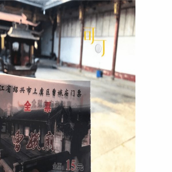 东化成寺塔 - 图片9