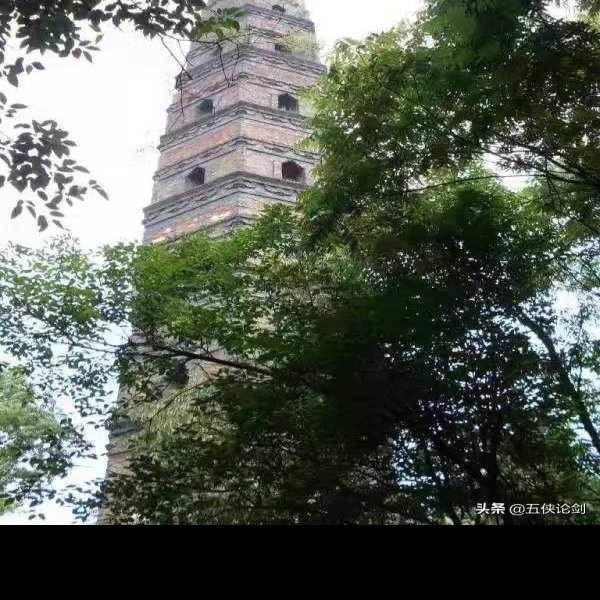 龙德寺塔 - 图片10