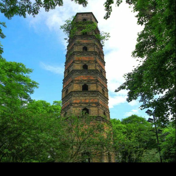龙德寺塔 - 图片9