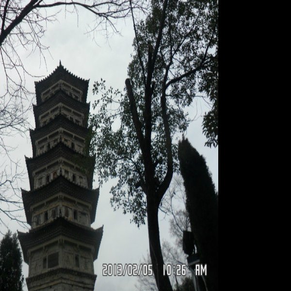 乐清东塔 - 图片5