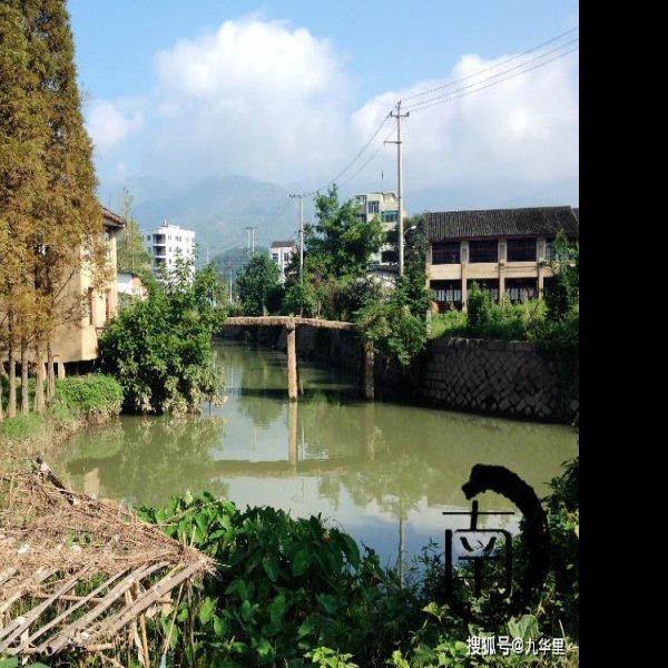 八卦桥和河西桥 - 图片6