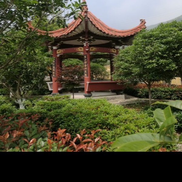 真如寺石塔 - 图片7