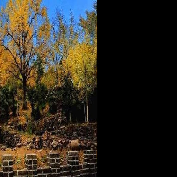 普庆寺石塔 - 图片9