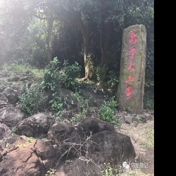 程村遗址 - 图片9