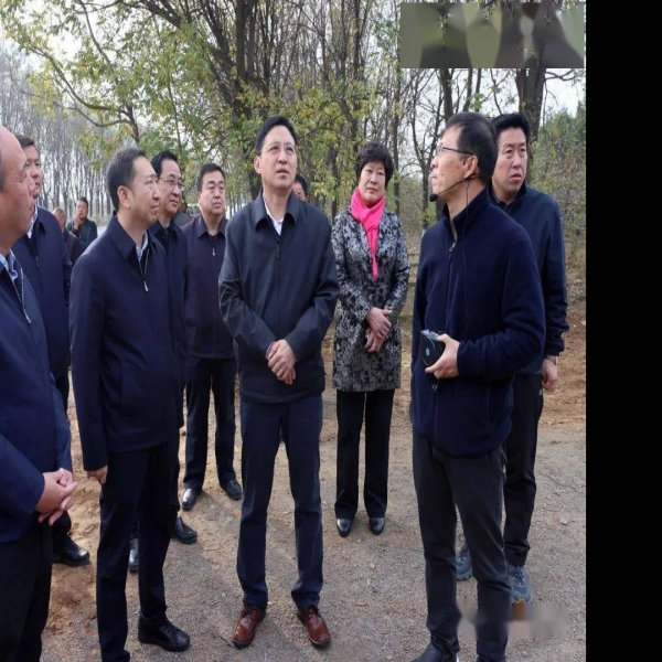 猗氏故城 - 图片10
