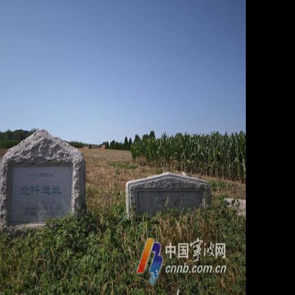 蘑菇山北遗址 - 图片1