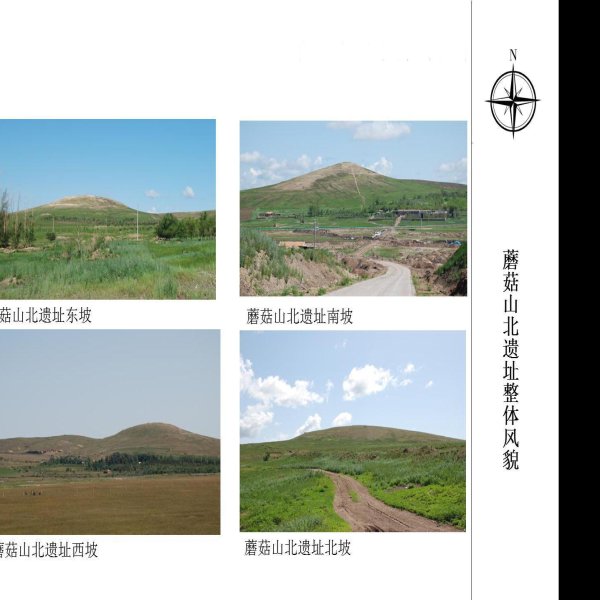 蘑菇山北遗址 - 图片5
