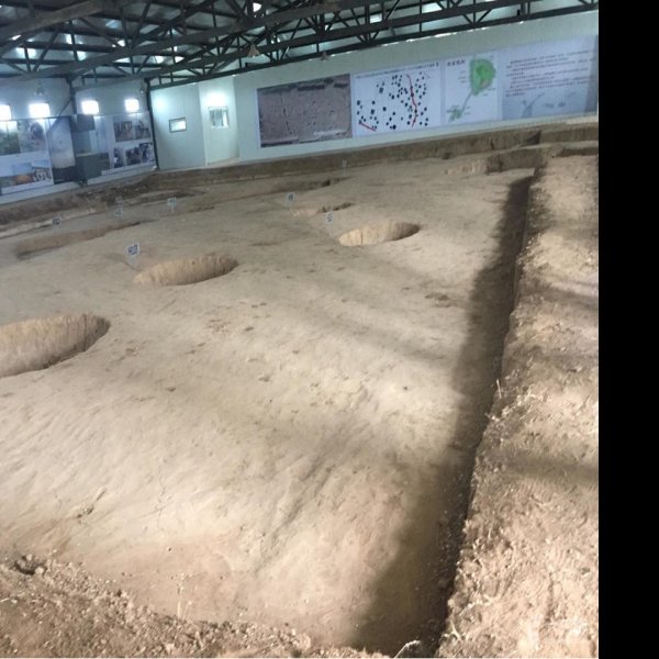 魏家窝铺遗址 - 图片8