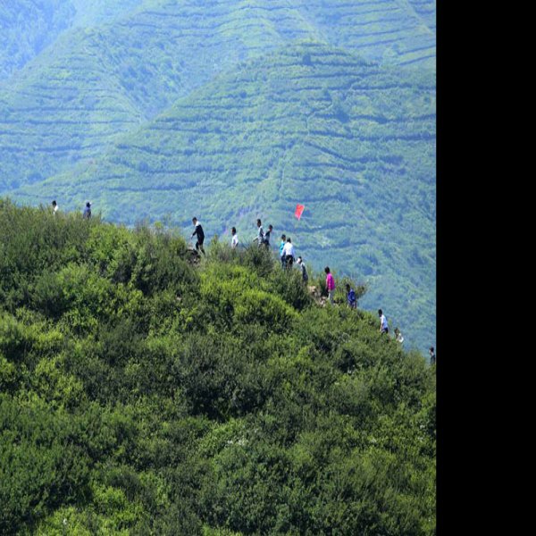草帽山遗址 - 图片4