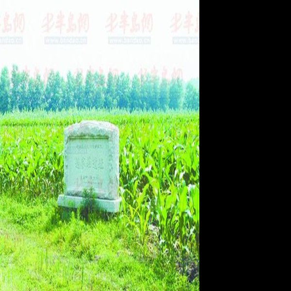 赵家庄遗址 - 图片2