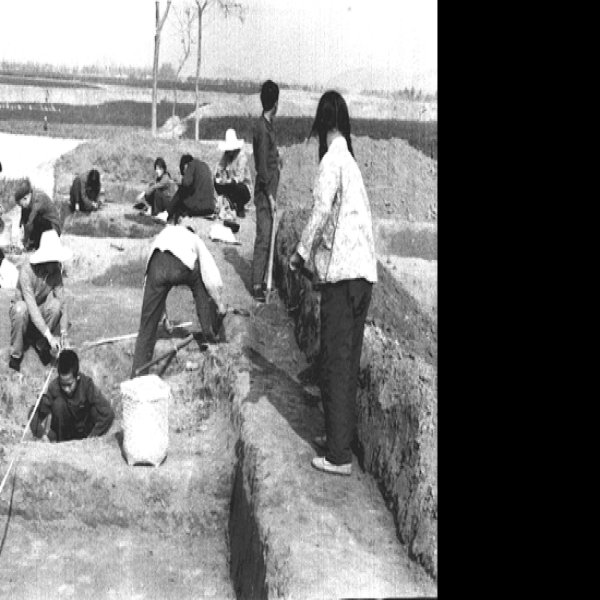 前掌大遗址 - 图片3