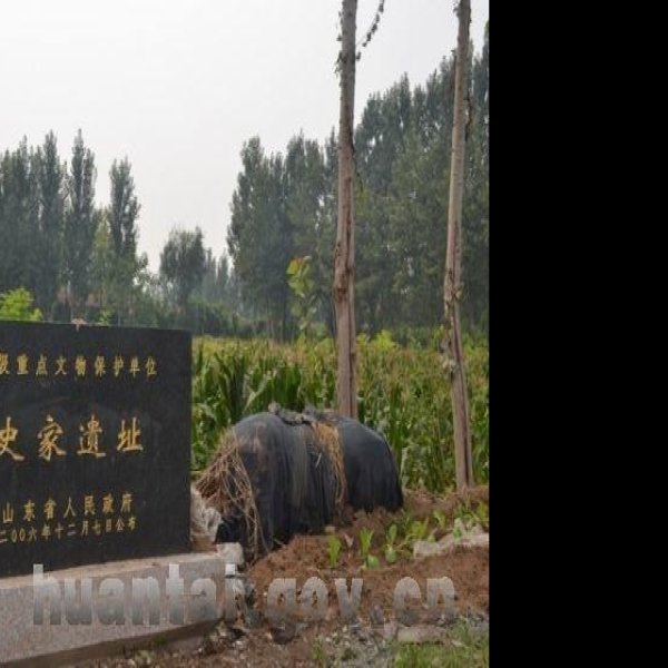 史家遗址 - 图片1