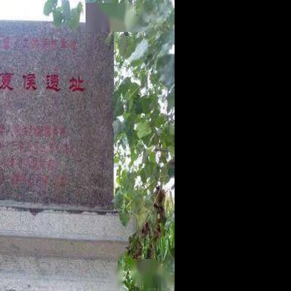 西夏侯遗址 - 图片3