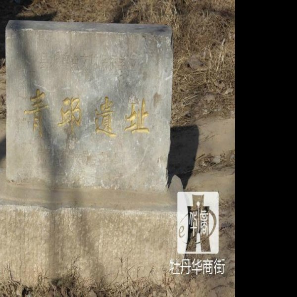 青堌堆遗址 - 图片2