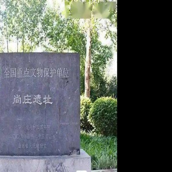 尚庄遗址 - 图片5