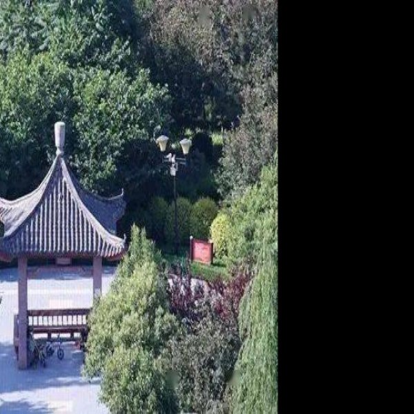 尚庄遗址 - 图片6