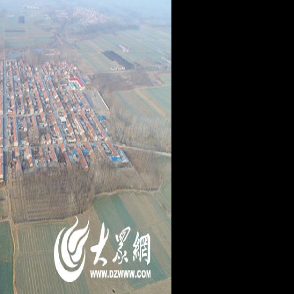 西皇姑庵遗址 - 图片10
